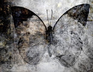 Obrazy na Szkle  motyl