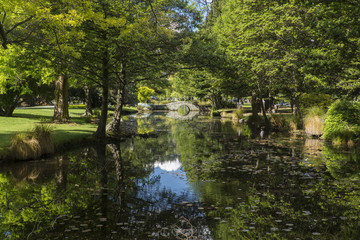 Fototapeta na wymiar Queenstown gardens. New Zealand