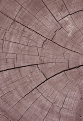 Fototapeta premium wood texture background