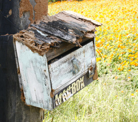 Wood mailbox on home page