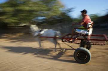 Brazilian Horse and Cart on Dirt Road