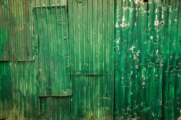 Zinc fence green