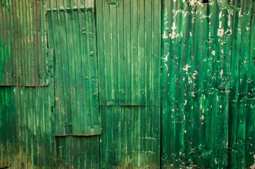 Wall murals Metal Zinc fence green