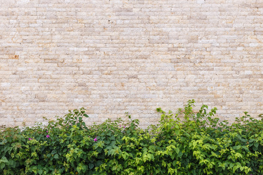 Travertine Stone Wall And Decorative Garden