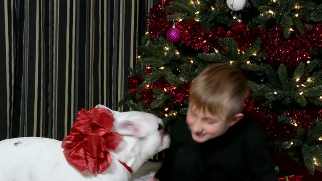 Boy being kissed by the puppy he got for Christmas