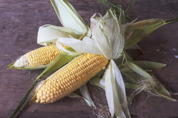 Corn