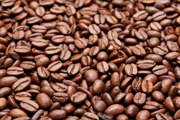 fond grains de café