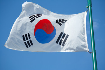 Fototapeta premium South Korean Flag
