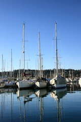 Fototapeta na wymiar sail Boats and yachts reflected in calm marina