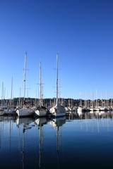 sail Boats and yachts reflected in calm marina
