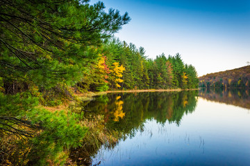 Autumn reflections in Long Pine Run Reservoir, in Michaux State