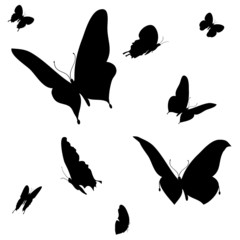 Vector illustration.