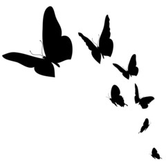 Vector illustration.