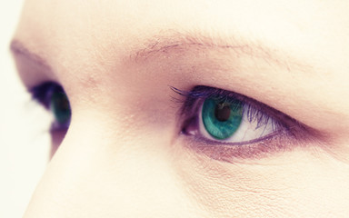 Auge