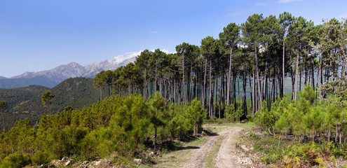 Fototapeta premium Valle de las Cinco Villas. Ávila