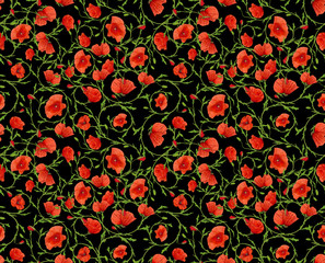 Fototapeta premium small poppy ornamental on black seamless background