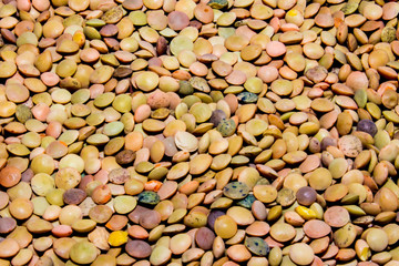 close up of some lentils