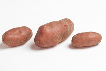 Pommes de terre rouges  sur fond blanc