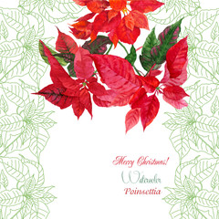 Background  with bouquet of red poinsettia