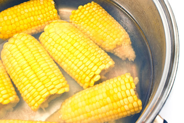 Boiled corn in metal pot on white