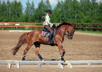 Girl horseback riding English style