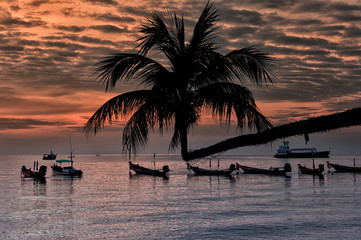 Sunset with palm and longtail boats on tropical beach