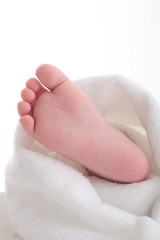 아기의 신체 부분