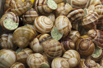 French specialty with snails parsley butter and garlic