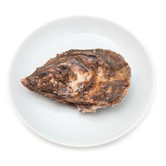 Oyster isolated on a white studio background.