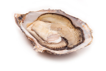 Raw oyster isolated on a white studio background.