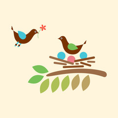 Birds Love