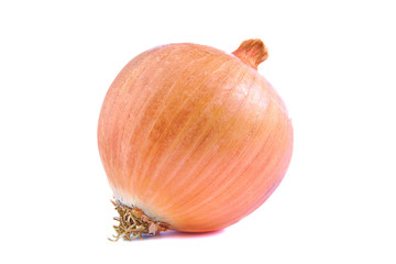 Close-up of an onion