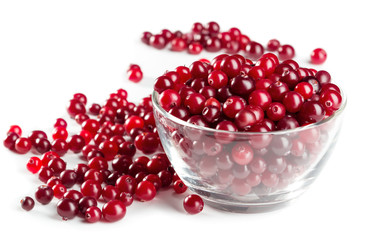 Cranberry