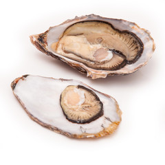 Raw oyster isolated on a white studio background.