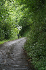 Carretera Rural