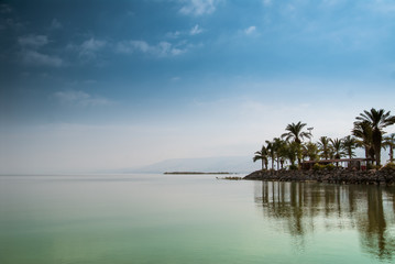 Kinneret, Galilee sea, Israel, Tiberias lake with palms - obrazy, fototapety, plakaty