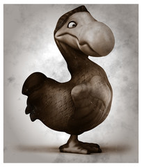 Dodo © Julien Tromeur