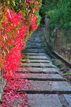 stairway to heaven