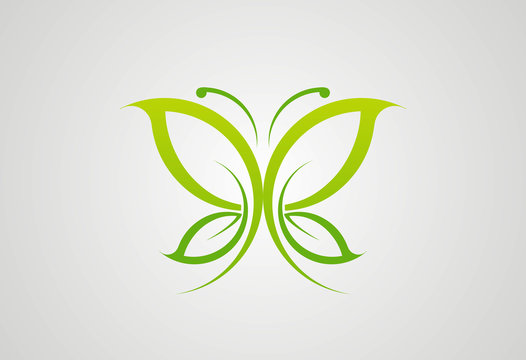 Eco green butterfly logo vector