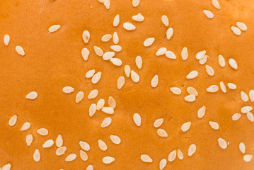 texture of buns with sesame seeds