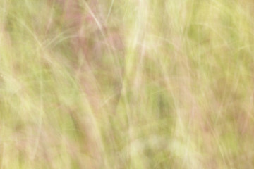 blurred light trails - background beauty