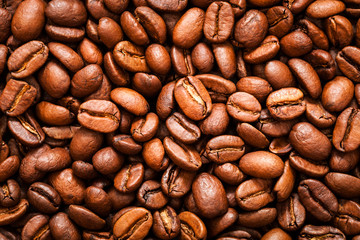 coffee beans close-up