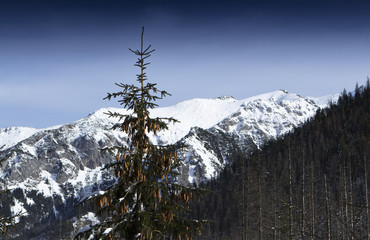 Tatry © marcinbawiec