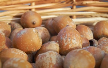 Closeup of unhusked hazelnuts in basket