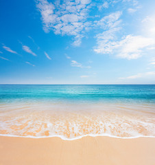 beach and tropical sea