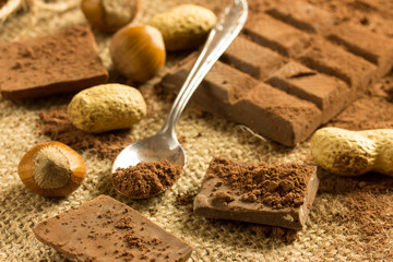 cocoa and chocolate