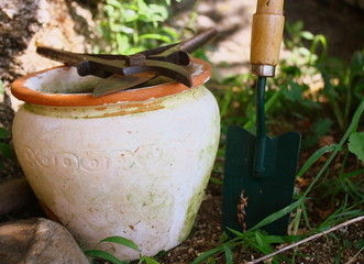 outil de jardinage,plante et terre