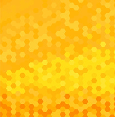 Honey background vector