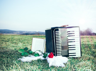 Accordion on a meadow