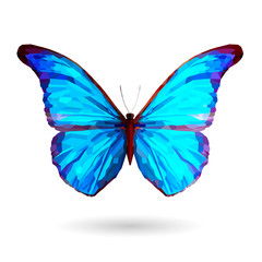 Obraz na płótnie Canvas Abstract blue butterfly – Illustration